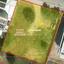 plot for sale strovolos nicosia 7703664 thumbnail 12695980