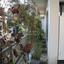 2 bedroom apartment for rent agioi omologitai nicosia 8570764 thumbnail 15637225