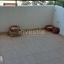 2 bedroom apartment for sale faneromeni larnaca 7609764 thumbnail 16325749