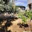 5 bedroom detached house for sale pera chorio nisou nicosia 1729764 thumbnail 7319182