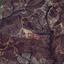 land for sale lageia larnaca 8771764 thumbnail 16580214