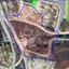 land for sale pera chorio nisou nicosia 1356764 thumbnail 7286228