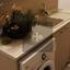 2 bedroom apartment for rent ilioupoli nicosia 8083864 thumbnail 15147814