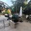 4 bedroom semi detached house for rent episkopi lemesou limassol 7939864 thumbnail 14888465