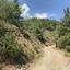 land for sale platanistasa nicosia 8003864 thumbnail 15596249