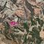 18730 SQM Land for sale in Steni, Paphos thumbnail 10644271
