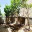 3 bedroom detached house for sale sotiros agios ioannis larnaca larnaca 1821964 thumbnail 6366552