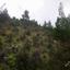 12041 SQM Land for sale in Fikardou, Nicosia thumbnail 3344638