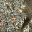 land for sale agia fyla limassol 1735964 thumbnail 13213229