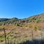 land for sale moniatis limassol 1736964 thumbnail 13293616