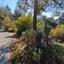 land for sale moniatis limassol 1736964 thumbnail 13293618