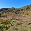 land for sale moniatis limassol 1736964 thumbnail 13293621