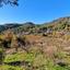 land for sale moniatis limassol 1736964 thumbnail 13293625