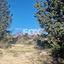 land for sale tsada paphos 8072074 thumbnail 16152203