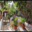 2 bedroom detached house for sale alethriko larnaca 1710174 thumbnail 17368455