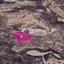 land for sale skarinou larnaca 1650174 thumbnail 5666312