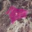 land for sale skarinou larnaca 1650174 thumbnail 5666315
