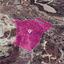 land for sale skarinou larnaca 1650174 thumbnail 5666319