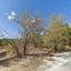 plot for sale trimiklini limassol 8437174 thumbnail 15019004