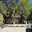 6 bedroom detached house for sale faneromeni larnaca 1730274 thumbnail 5556503