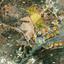land for sale pyrgos limassol limassol 8893274 thumbnail 17341280