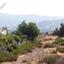 plot for sale katholiki limassol 1648274 thumbnail 4214734