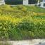 plot for sale latsia nicosia 1151274 thumbnail 12671419