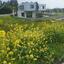 plot for sale latsia nicosia 1151274 thumbnail 12671421