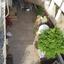 7 bedroom detached house for sale faneromeni larnaca 7906374 thumbnail 16424255