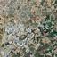 land for sale dali nicosia 8630374 thumbnail 16530557
