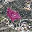 plot for sale kakopetria nicosia 1389374 thumbnail 14055891