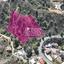 plot for sale kakopetria nicosia 1389374 thumbnail 14055893