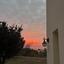 3 bedroom detached house for sale tala paphos 7931474 thumbnail 13489452