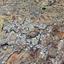 land for sale dali nicosia 7957474 thumbnail 16549875