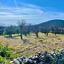 land for sale doros limassol 7729474 thumbnail 10127742