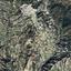 land for sale laneia limassol 1835474 thumbnail 15597733