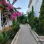 3 bedroom detached house for rent agios andreas nicosia nicosia 8913574 thumbnail 17520930