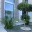 3 bedroom detached house for rent chlorakas paphos 8765574 thumbnail 16564040