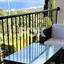 3 bedroom detached house for sale neo chorio paphos 1159574 thumbnail 5526118