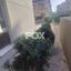 2 bedroom apartment for rent agios ioannis limassol 8592674 thumbnail 15968136