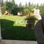 4 bedroom detached house for rent ypsonas limassol 1146674 thumbnail 14866499