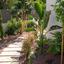 1 bedroom apartment for rent potamos germasogeias limassol 8880774 thumbnail 17298637