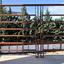 5 bedroom detached house for sale dekeleia larnaca 8941774 thumbnail 17683007