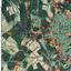 land for sale koilani limassol 8117774 thumbnail 14833006