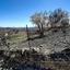 land for sale koilani limassol 8117774 thumbnail 14833011