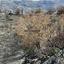 land for sale koilani limassol 8117774 thumbnail 14833016