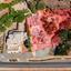 land for sale paralimni famagusta 7822774 thumbnail 10909302