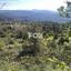 land for sale pera pedi limassol 1147774 thumbnail 5546330