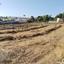 land for sale anarita paphos 8960874 thumbnail 17800322