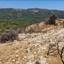 land for sale archimandrita paphos 964874 thumbnail 15600745